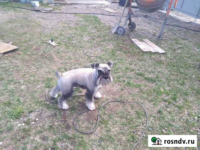 Вязка Томск - изображение 1