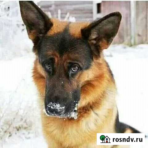 Вязка Прохладный - изображение 1