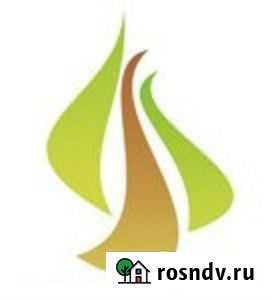 Егаис (лес) Улан-Удэ - изображение 1