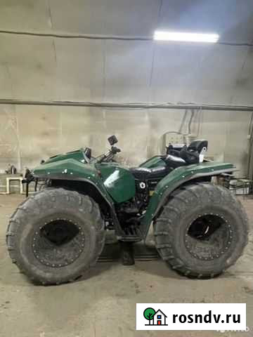 Сокол Горный Щит - изображение 1