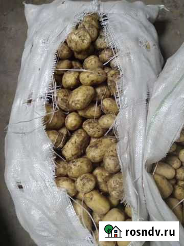 Овощи Ивантеевка - изображение 1