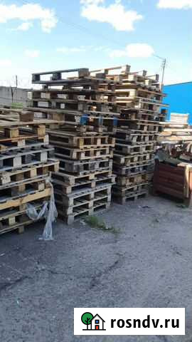 Поддоны деревянные Сурок - изображение 1