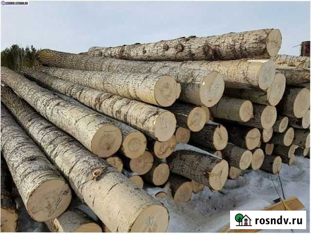 Осина,берёза пиловочник.балансы Орлов - изображение 1