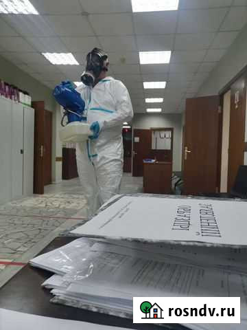 Обработка от клопов и тараканов,дератизация,дезинф Куровское - изображение 1