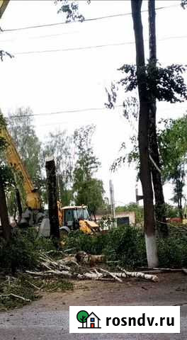 Спил деревьев Саранск - изображение 1