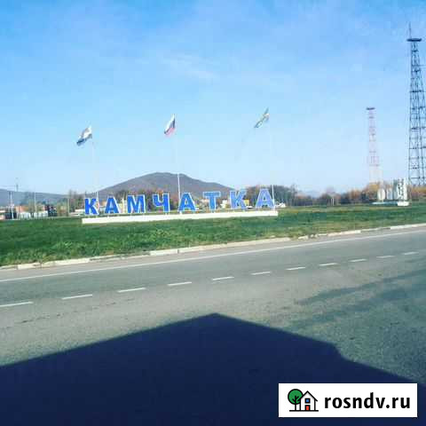 Озеленение участков, садовых тер-й. Продажа раст Елизово - изображение 1