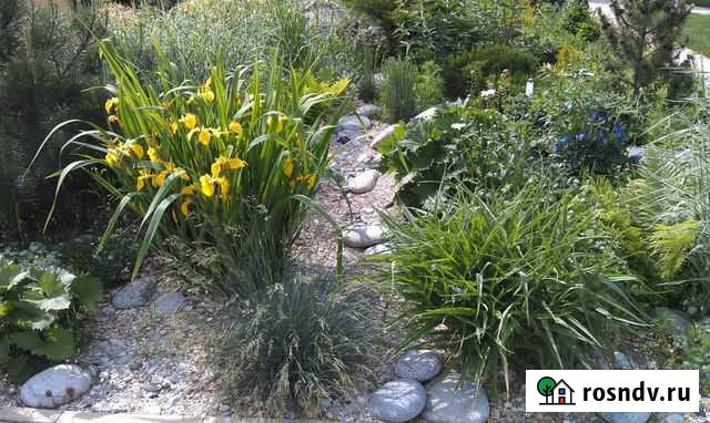 Ландшафтное строительство, дизайн сада Можайск - изображение 1