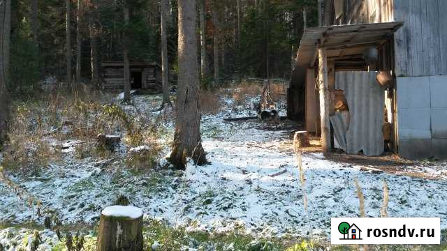 Участок ИЖС 120 сот. на продажу в Дивногорске Дивногорск - изображение 1