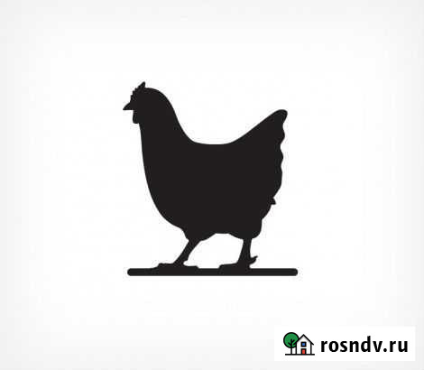 Меловые ценники Волгоград - изображение 1