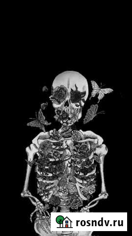 Написание текста песни и поздравительных стихотвор Стерлитамак - изображение 1