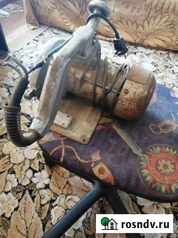 Обезьяна Рудня - изображение 1