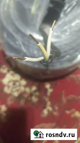 Электро кабель 3*2,5 Муравленко - изображение 1