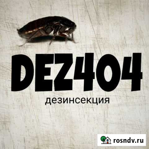 Уничтожение клопов тараканов блох насекомых Сафоново - изображение 1