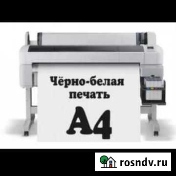 Черно-белая печать Владимир - изображение 1