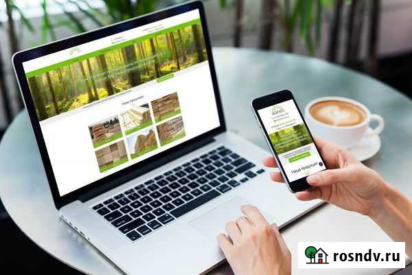 Создание и раскрутка сайтов Воткинск - изображение 1