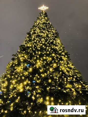 Слушатель собеседник друг на час Котельники - изображение 1