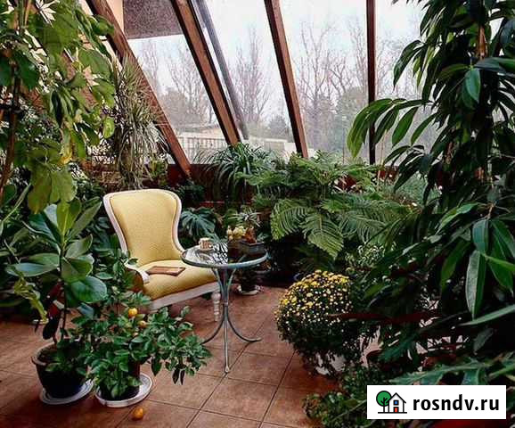 Приют для растений Москва - изображение 1