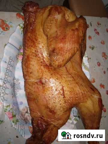 Домашнее копчение Казанская - изображение 1