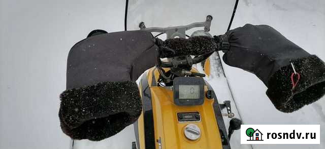 Динго т150 Абатское - изображение 1