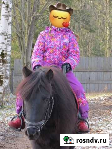 Тренировки на пони Чусовой - изображение 1