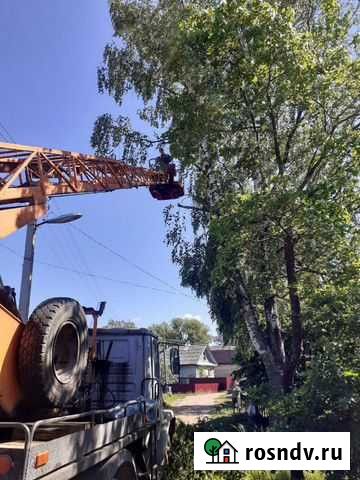 Аренда автовышки 17м. Спил аварийных деревьев Боровичи - изображение 1