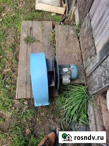 Электродвигатель Руза - изображение 1