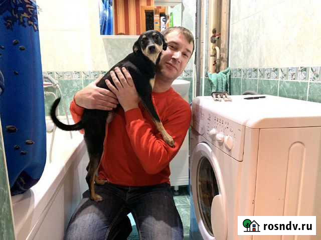 Ремонт стиральных машин Екатеринбург - изображение 1