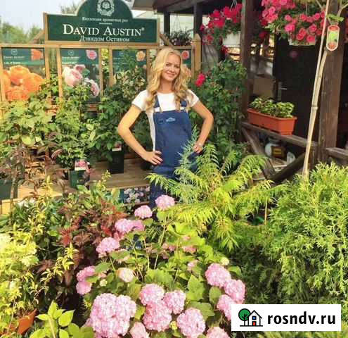 Ландшафтный дизайн Озеленение Газон Автополив Самара - изображение 1