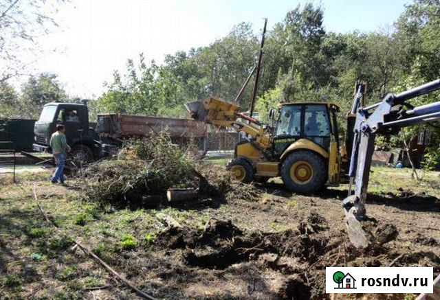 Спил деревьев,расчистка участка.Выкорчевывание Спасск-Рязанский - изображение 1