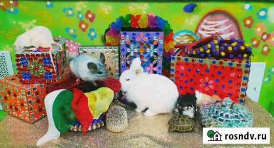 Фокусник на детский праздник Москва