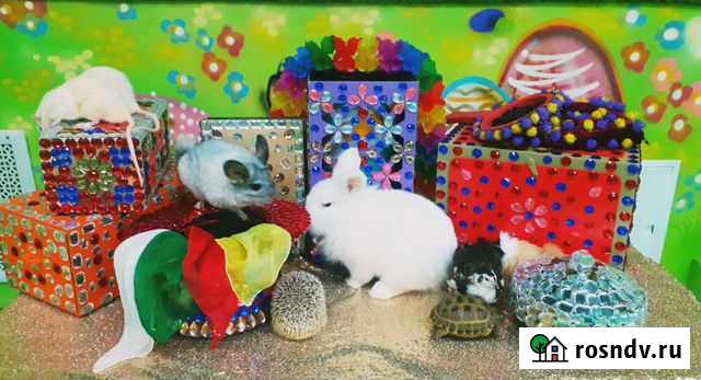 Фокусник на детский праздник Москва - изображение 1