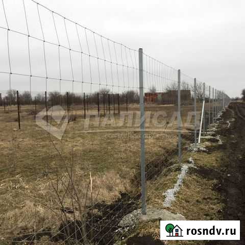 Сетка оцинкованная дфл «Дорожная/Лесная»,плетенная Геленджик - изображение 1