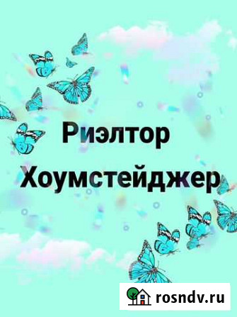 Услуги риэлтора и хоумстейджера Зея - изображение 1