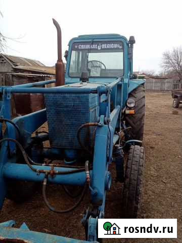 Услуги куна Мечетинская - изображение 1