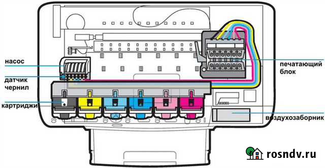Ремонт струйных принтеров и мфу Нижний Новгород - изображение 1