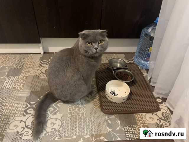 Коврики eva по вашим размерам Изготовление 1 день Серпухов - изображение 1