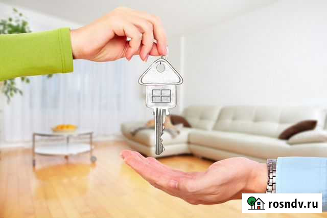 Услуги рантье Светлогорск - изображение 1