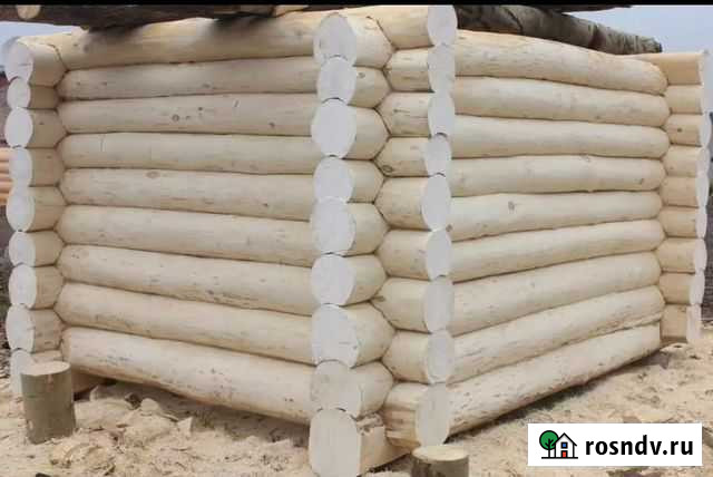 Срубы из осины Параньга - изображение 1