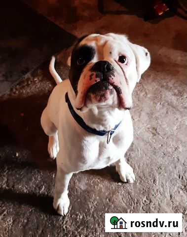 Вязка Полазна - изображение 1