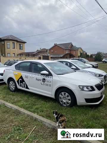 Аренда авто такси Шкода Октавия Краснодар - изображение 1