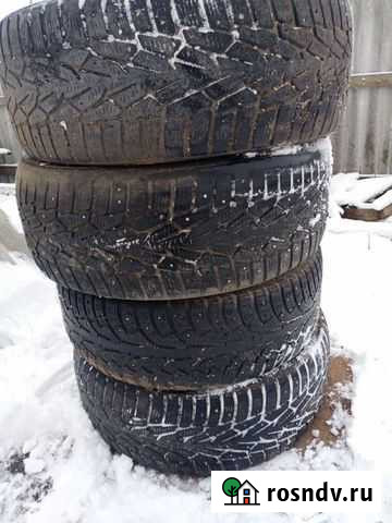 Зима Тербуны - изображение 1