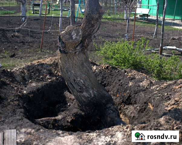 Расчистка участка Тамбов - изображение 1