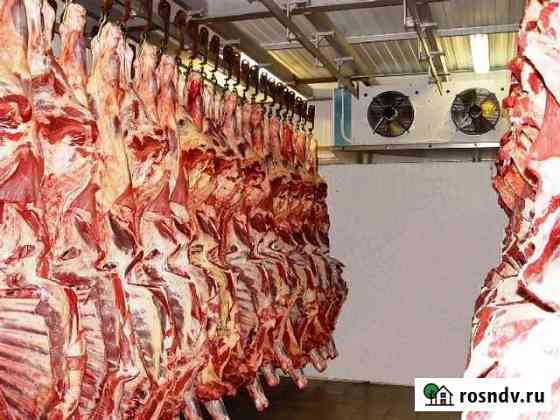 Холодильные Установки Заморозки Мяса.Камеры Старый Крым