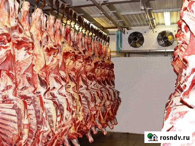 Холодильные Установки Заморозки Мяса.Камеры Старый Крым - изображение 1