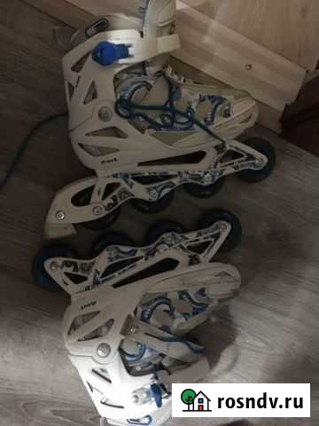 Ролики 37 р Москва - изображение 1