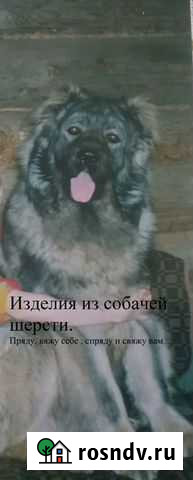 Прядение собачей шерсти Великие Луки - изображение 1