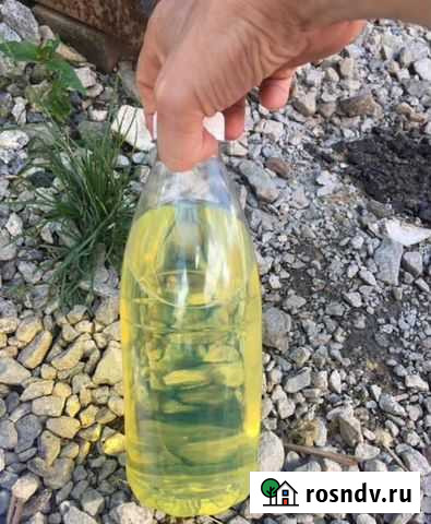 Саляра дт с доставкой сорт-45 Истра - изображение 1