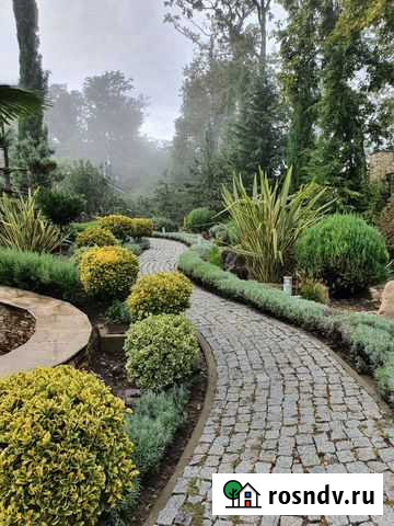 Ланшафтный дизайн Сочи - изображение 1