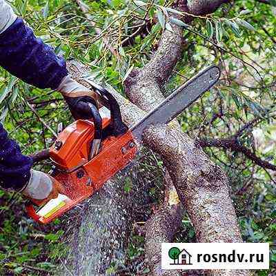 Покос травы спил садовых деревьев Брянск