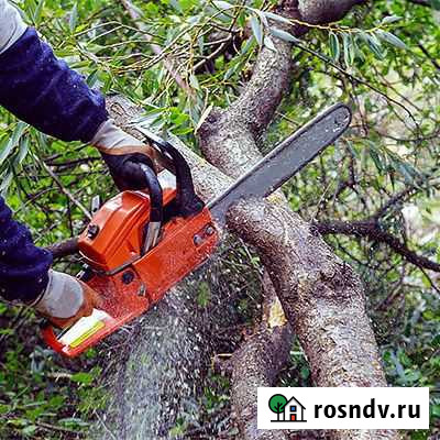 Покос травы спил садовых деревьев Брянск - изображение 1